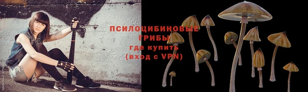 ALPHA-PVP Инсар