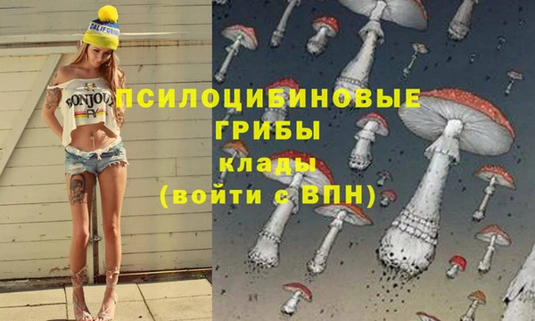 не бодяженный Иннополис