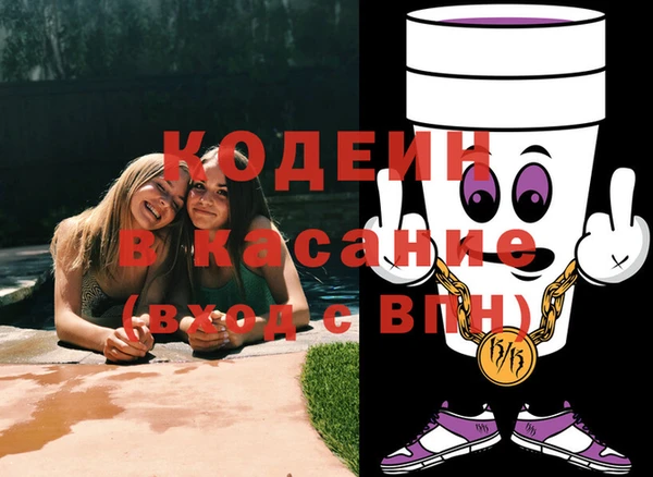 не бодяженный Иннополис