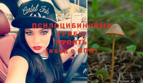 не бодяженный Иннополис