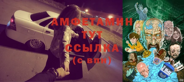 не бодяженный Иннополис