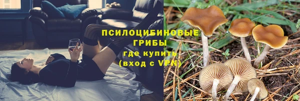ALPHA-PVP Инсар