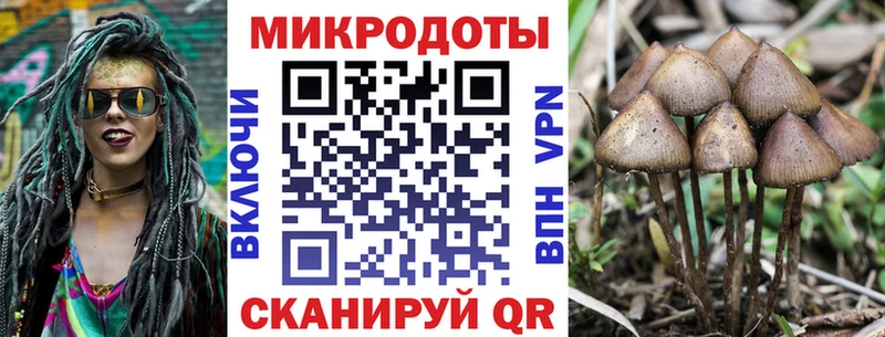 Купить закладки  Ковылкино  Псилоцибиновые грибы мухоморы 